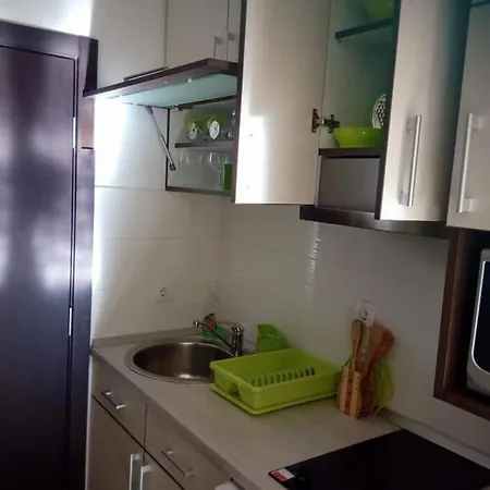 Radin Апартаменты Златибор