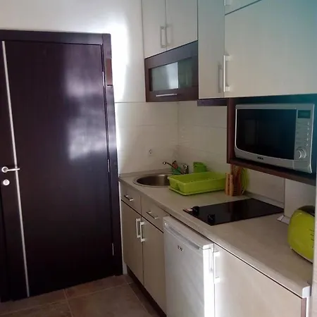 Radin Златибор