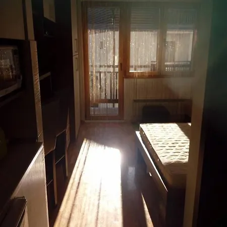 Radin Apartment *