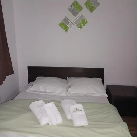 Radin Златибор